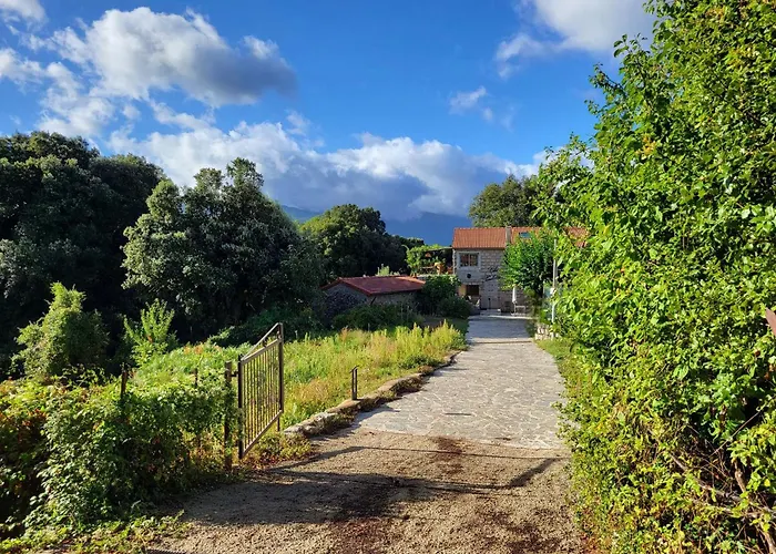 Chez Paulette - Meuble De Tourisme Classe 3 Etoiles