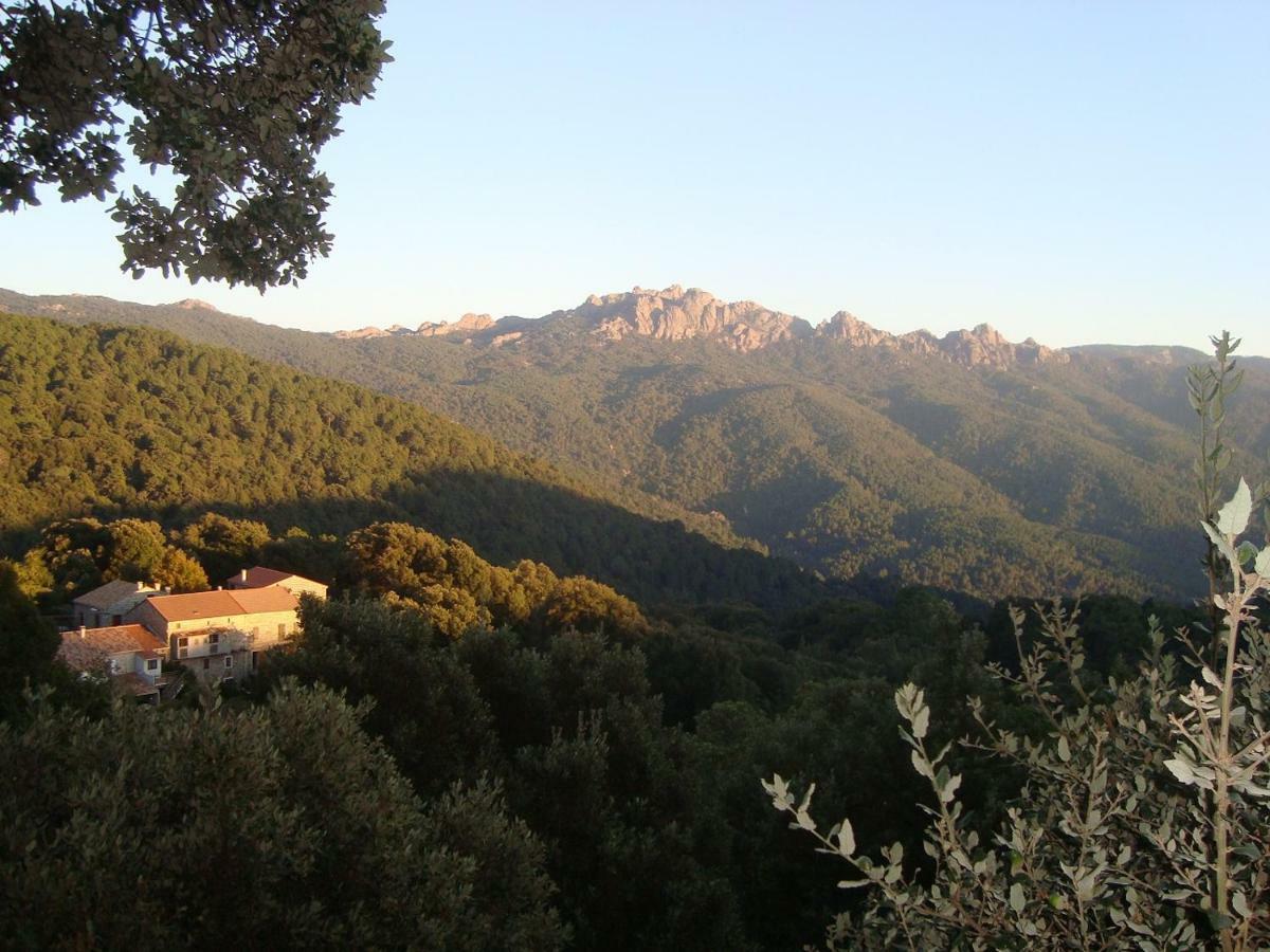 Chez Paulette - Meublé De Tourisme Classé 3 étoiles Appartement